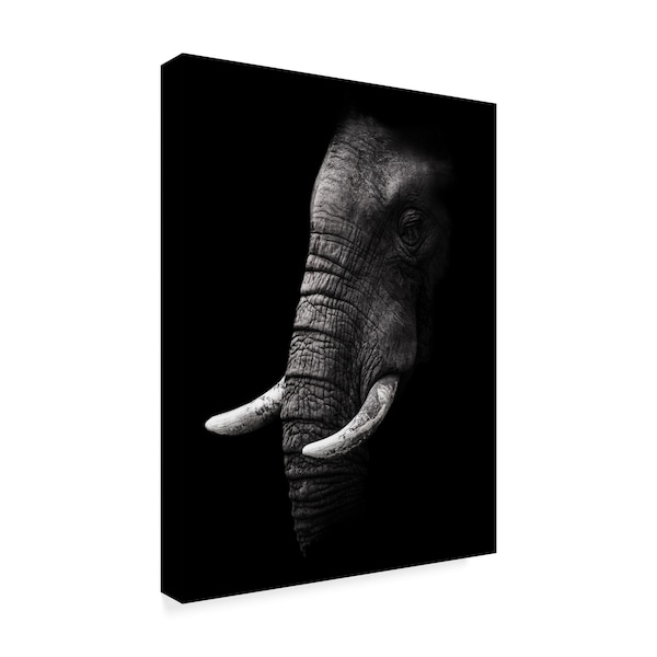Wildphotoart 'Elephant Portrait' Canvas Art,35x47